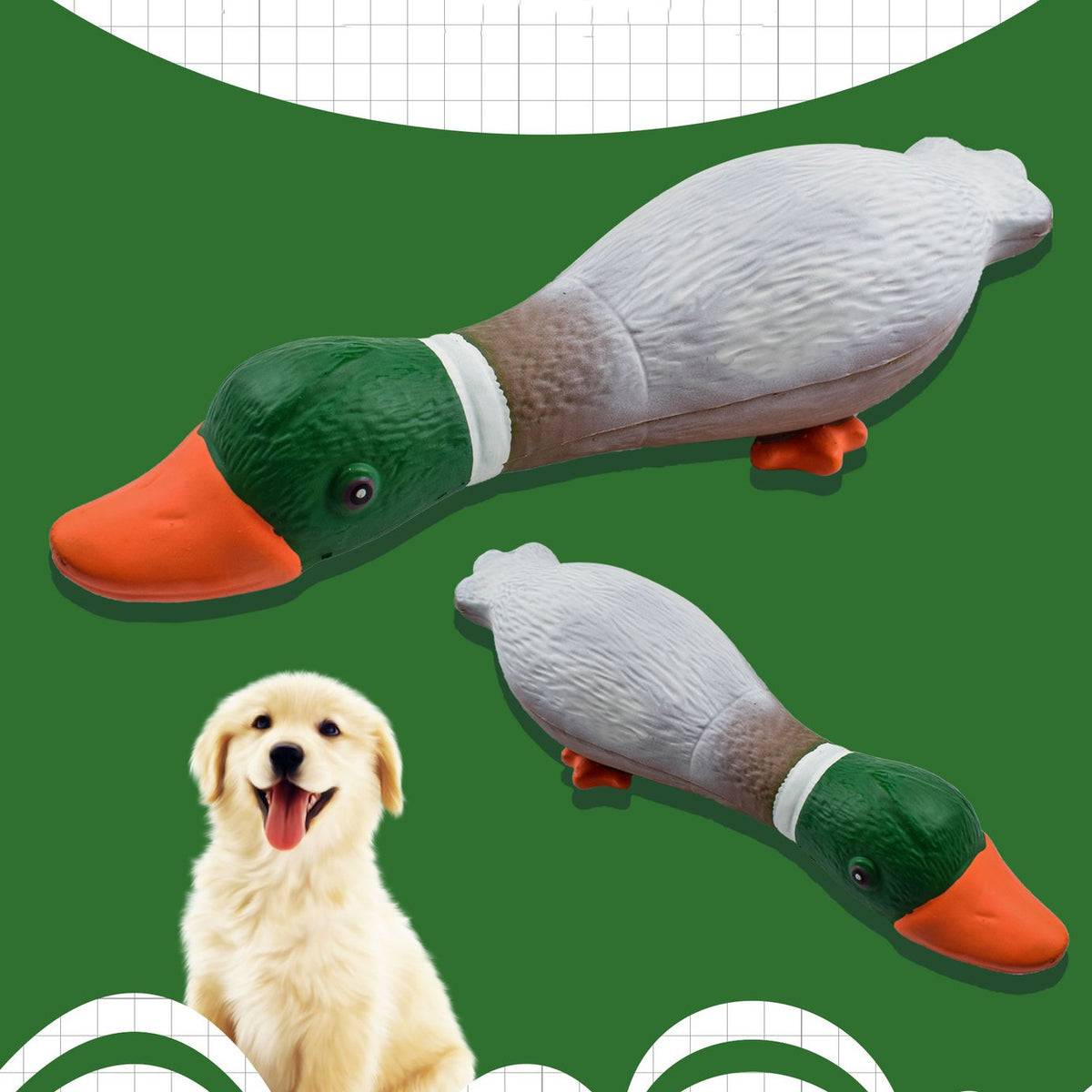 307f6928c70f73f2e36bffc594433f06